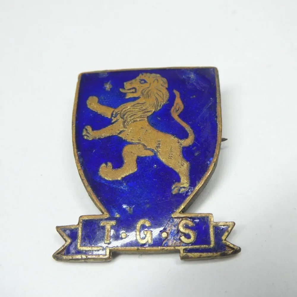 TGS Takapuna Grammar School New Zealand Lion Shield Pin Blue Enamel Vintage